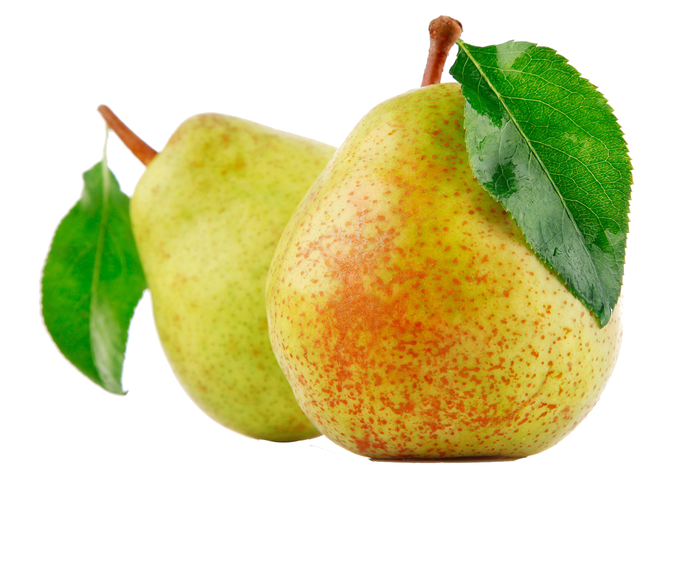 Pears picture